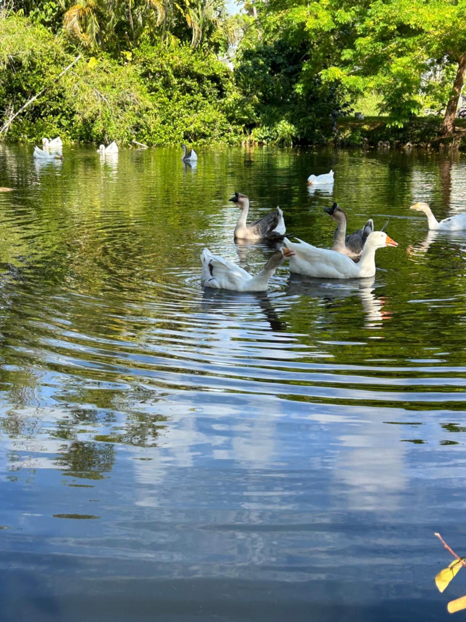 Unwind Island Villa West Palm Beach Buitenkant foto